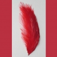 Beautiful vintage feathers - ideal for millinery - 05 > Other Items > Beautiful vintage feathers - ideal for millinery - 05