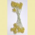 A packet of vintage flower stamens - ST 5 > Other Items > A packet of vintage flower stamens - ST 5