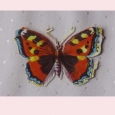 Chromo-litho print Victorian cut-out of a butterfly - No. 1