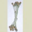A packet of vintage flower stamens - ST 1 > Other Items > A packet of vintage flower stamens - ST 1